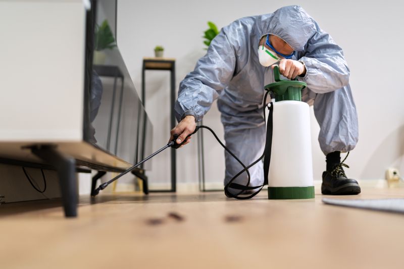Flea Fumigation