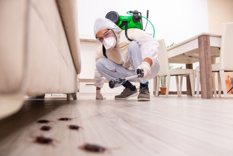 Insect Control Service
